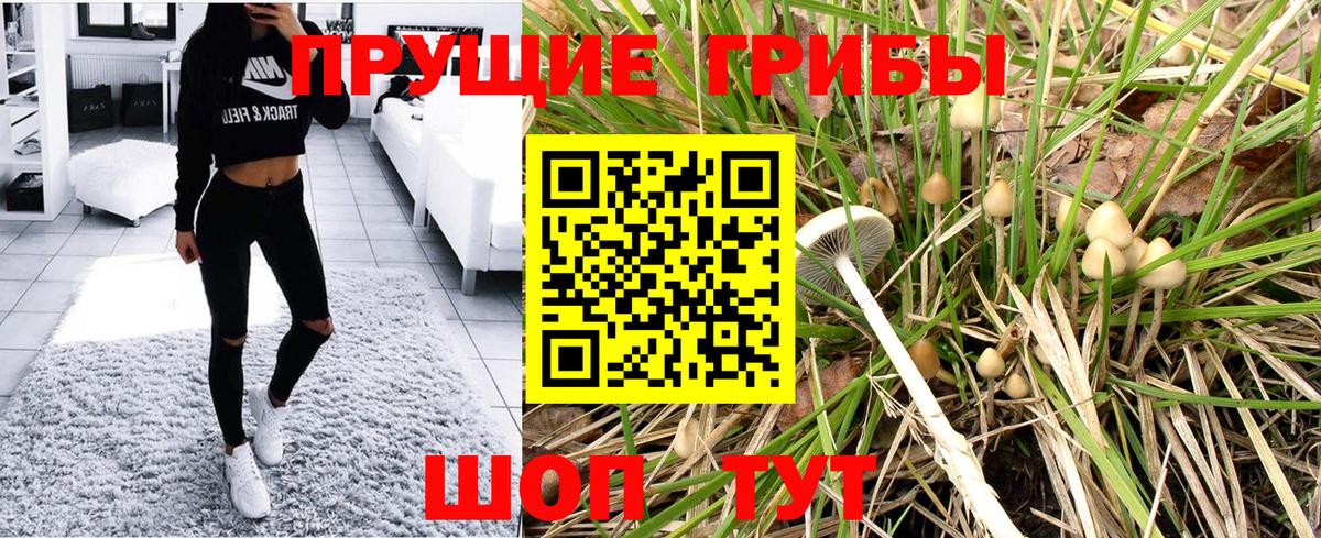 Аксай  Галлюциногенные грибы прущие грибы  Вход с VPN 